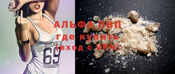 спайс Няндома