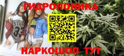 ГАЛЛЮЦИНОГЕННЫЕ ГРИБЫ Заводоуковск