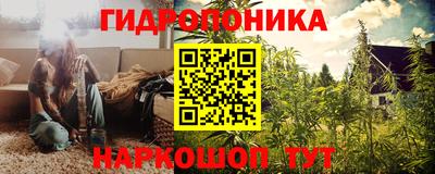 ГАЛЛЮЦИНОГЕННЫЕ ГРИБЫ Заводоуковск