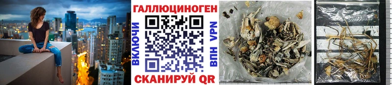 Псилоцибиновые грибы мухоморы  ОМГ ОМГ зеркало  Кумертау  цена наркотик 