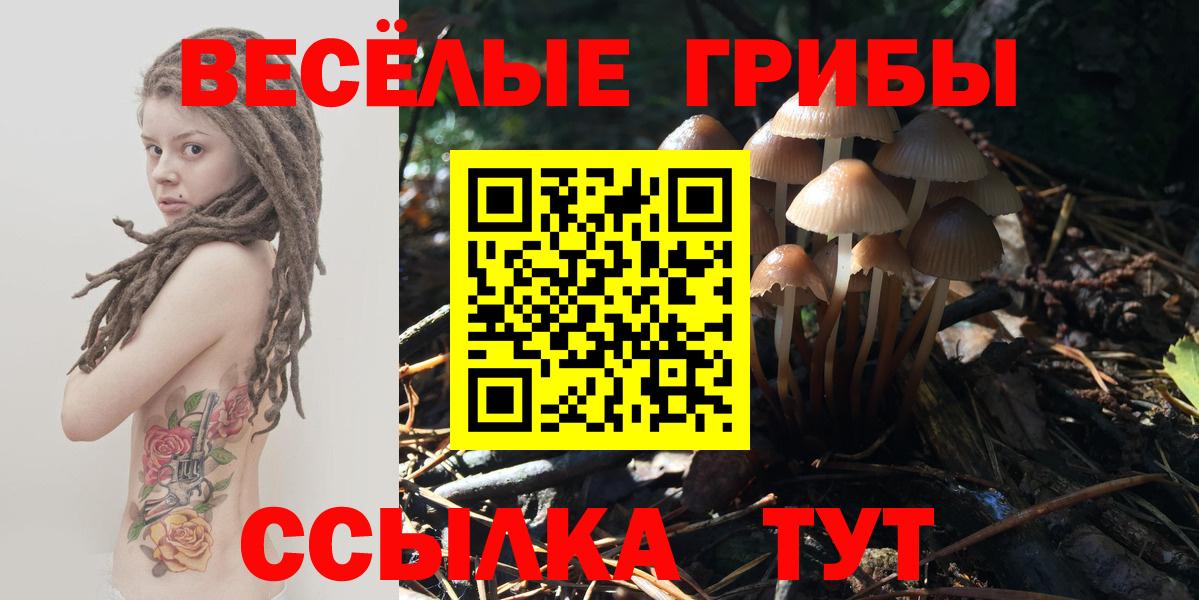 Псилоцибиновые грибы Magic Shrooms  Кумертау  Галлюциногенные грибы GOLDEN TEACHER 