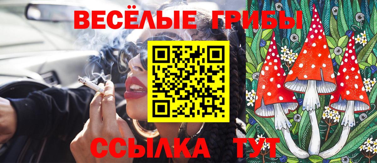 Псилоцибиновые грибы ЛСД  Галлюциногенные грибы Psilocybe  Вход с VPN  Кумертау 